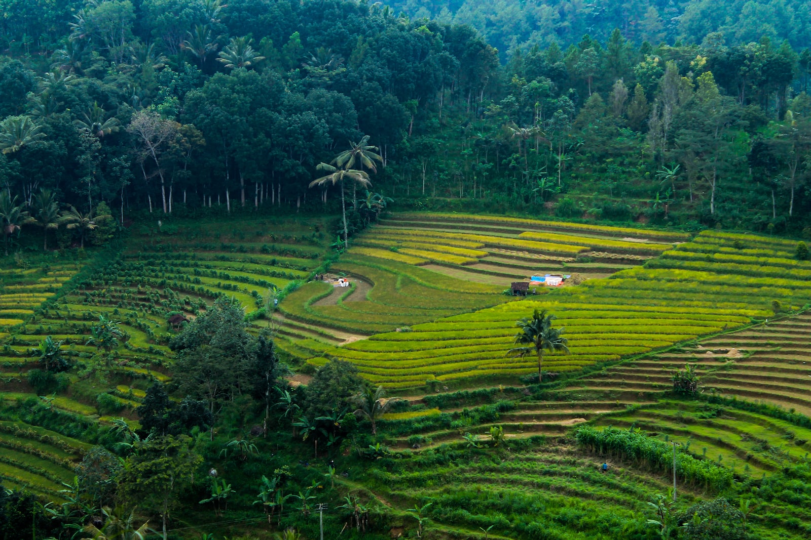 anakbisa, indonesia pusaka, lagu nasional,