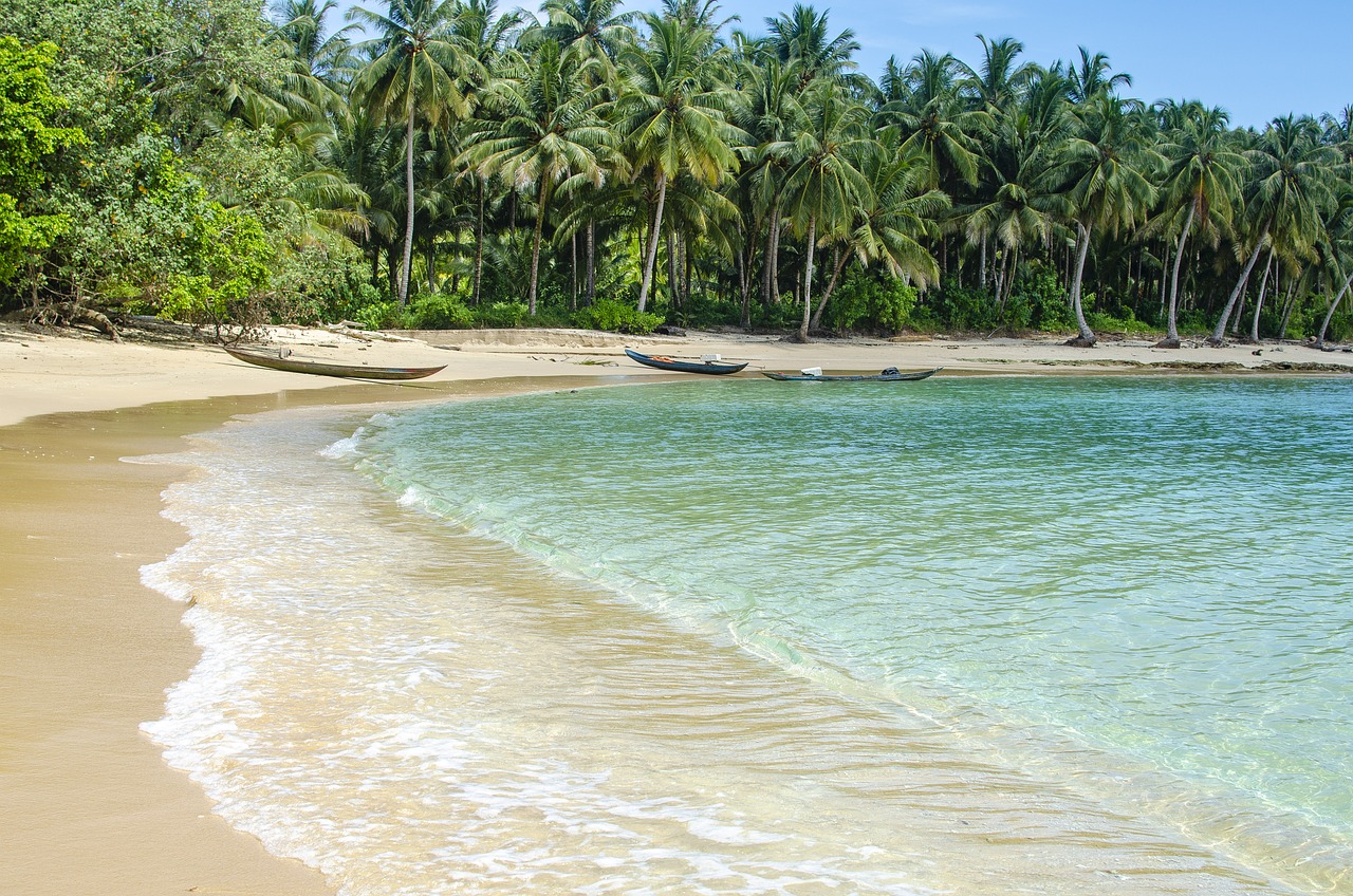 anakbisa, nyiur melambai,